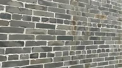 青砖砖墙拍摄实拍视频的预览图